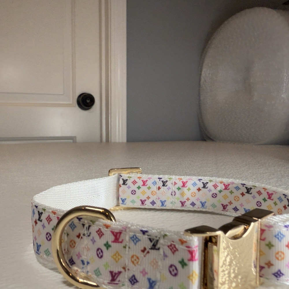 Luxury Dog Collar, Size L, Colorful, Gold Hardware, 1" Wide. - Picture 10 of 12